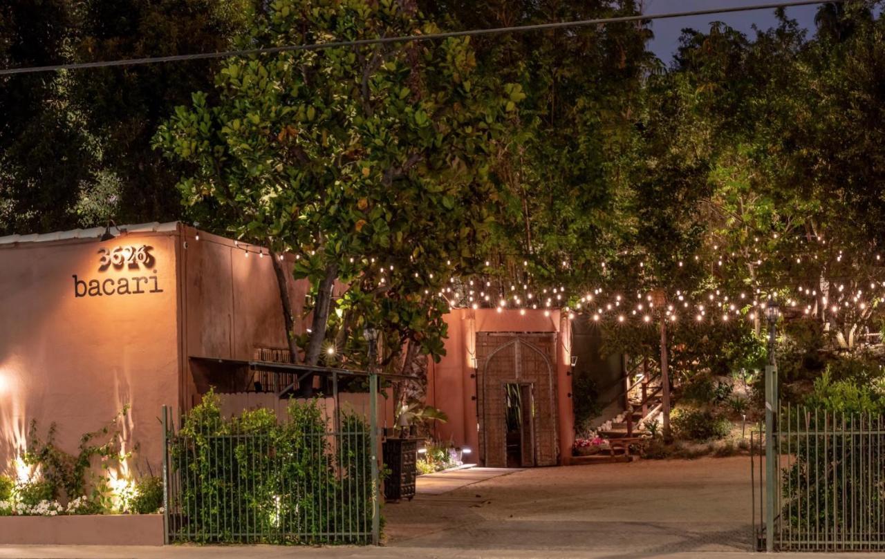 The Big Bungalow Rooms Los Angeles Dış mekan fotoğraf